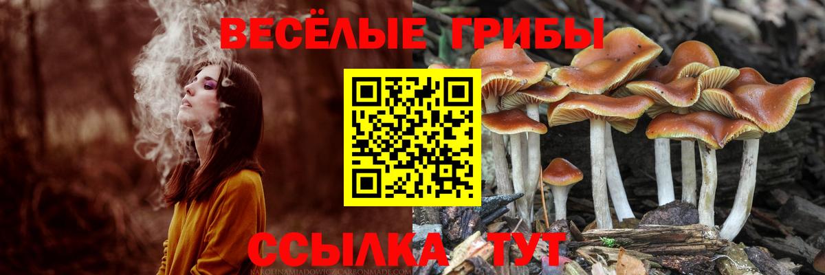 Псилоцибиновые грибы ЛСД Великий Устюг